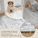 Restydon 5x7 Area Rugs for Living Room,Large Washable Rug,Grey