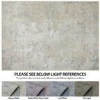 6x9 Area Rugs for Living Room Washable Bedroom Dining Room Beige Grey