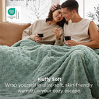 Bedsure GentleSoft Twin Blanket for Bed - Super Soft Cozy Spring Blankets for Kids Girls, Cute Fuzzy Fleece Throws for Bedroom Couch, Sage Green, 60x80 Inches