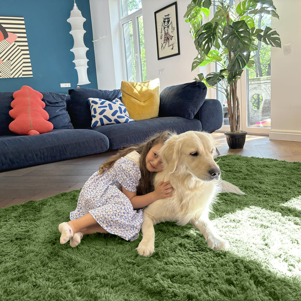OLANLY Area Rugs for Living Room Bedroom, Machine Washable 4x5.9 ft Soft Fluffy Shaggy Bedside Rug, Indoor Floor Carpet for Kids Girls and Boys, Dorms, Nursery Rooms, Home Decor Aesthetic, Green