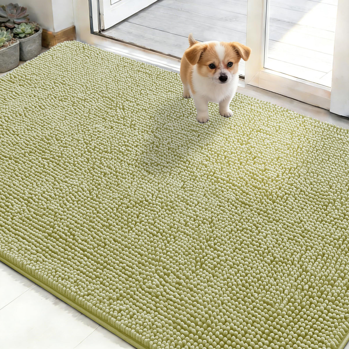 OLANLY Dog Door Mat for Muddy Paws 48x30, Super Absorbent Chenille Mud Mat