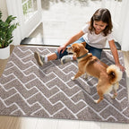 OLANLY Front Door Mat, Non-Slip Rubber Backing, Dirt Resistant and Absorbent, Washable, Easy to Clean Low-Profile Indoor Doormat for Back Door, Entryway, Inside Entrance, 36x24, Khaki