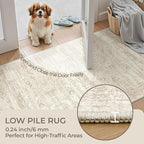 3x4 Washable Area Rug for Entryway, Soft Kitchen Rugs Non Slip for Dining Room, Vintage Abstract Living Room Rug, Thin Area Rugs Indoor for Bedroom, Kids Room Decor(3'x4', Beige/Ivory)