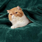 Bedsure GentleSoft Fleece Blankets Queen Size Emerald Green - Bed Blanket Soft Lightweight Plush Fuzzy Cozy Luxury Microfiber, 90x90 inches