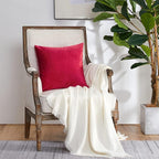 GIGIZAZA Decorative Couch Throw Pillow Covers,Set of 2 Red Square Pillow Cushion Covers 22x22,Pillow Cases Velvet Pillow Covers