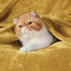 Bedsure GentleSoft Twin XL Fleece Blanket Dorm Bedding - Lightweight Soft Cozy Blankets for Bed, Sofa, Couch, Travel, Camping, Yellow, 66"x90"