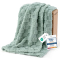 Bedsure Checkered Soft Cozy Twin XL Blanket for Bed, Ashley Blue, 66"×90"