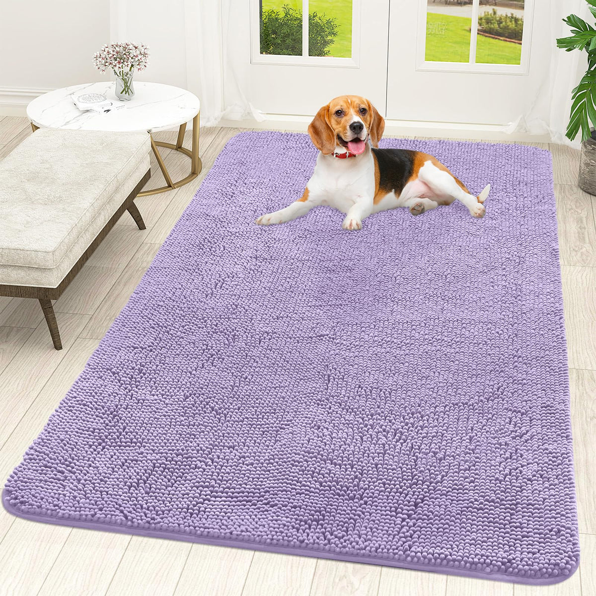 OLANLY Dog Door Mat for Muddy Paws 70x46, Super Absorbent Chenille Mud Mat
