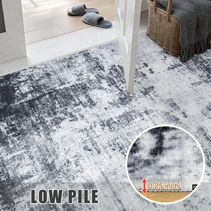 FXRHLP Area Rug Living Room: 4x6 Modern Washable Soft Carpet Dark Black