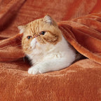 Bedsure GentleSoft Bedding Fleece Blanket for Girls and Boys - Soft Cozy Cute Small Throw Blankets for Travel, 43x55 Inches, Dark Orange