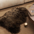 Ashler Faux Fur Rug, Fluffy Shaggy Area Rug, Ultra Soft 2 x 3 Feet Sheepskin Fur, Dark Coffee Fuzzy Machine Washable Shag, Nursery Decor Throw for Bedroom, Living Room, Kids Room