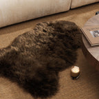 Ashler Faux Fur Rug, Fluffy Shaggy Area Rug, Ultra Soft 2 x 3 Feet Sheepskin Fur, Dark Coffee Fuzzy Machine Washable Shag, Nursery Decor Throw for Bedroom, Living Room, Kids Room