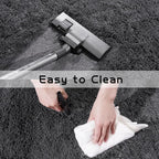 Pionblank Super Fluffy Area Rug for Living Room 5x7 Feet, Modern Indoor Shaggy Carpet, Soft Plush Non Slip Rugs for Bedroom Kids Room Teens Dorm Cloakroom Home Decor, Charcoal Grey