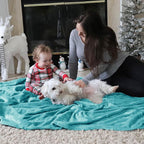 Bedsure GentleSoft Fleece Bed Blankets Queen Size River Blue - Soft Lightweight Plush Fuzzy Cozy Luxury Blanket Microfiber, 90x90 inches