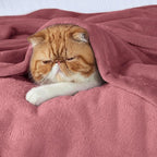 Bedsure GentleSoft Fleece King Size Blankets for Bed Dusty Rose - Soft Lightweight Plush Cozy Fuzzy Luxury Microfiber, 108x90 inches