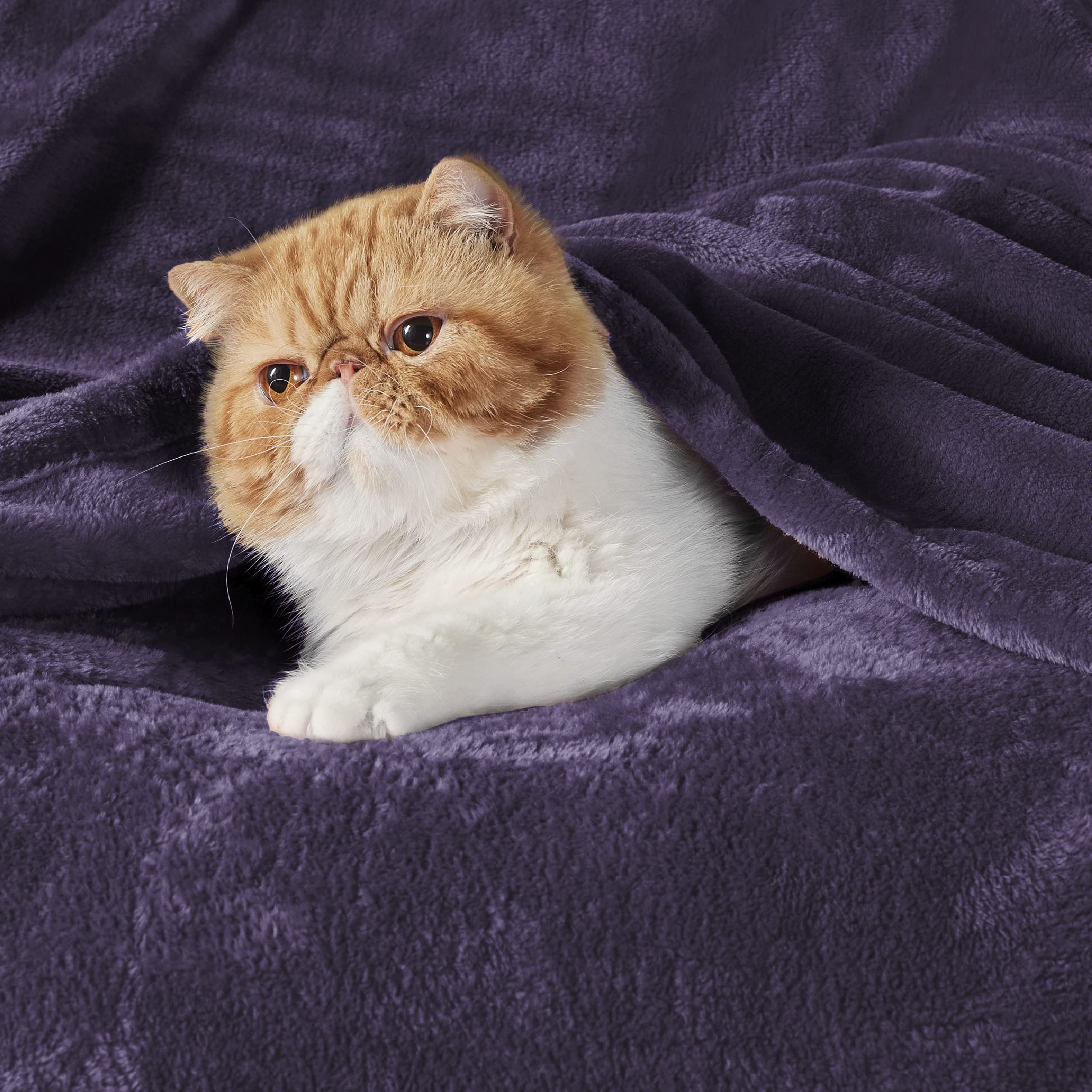 Bedsure GentleSoft Fleece Bed Blankets Large Size Purple - Soft Lightweight Fuzzy Cozy Luxury Oversized King Blanket Microfiber, Room Home Decor Gifts for Women and Men, 120x120 inches