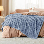 Bedsure GentleSoft Twin Blanket for Bed Ashley Blue - Super Soft Cozy Blankets for Kids Girls, Cute Fuzzy Fleece Throws for Bedroom Couch, 60x80 Inches