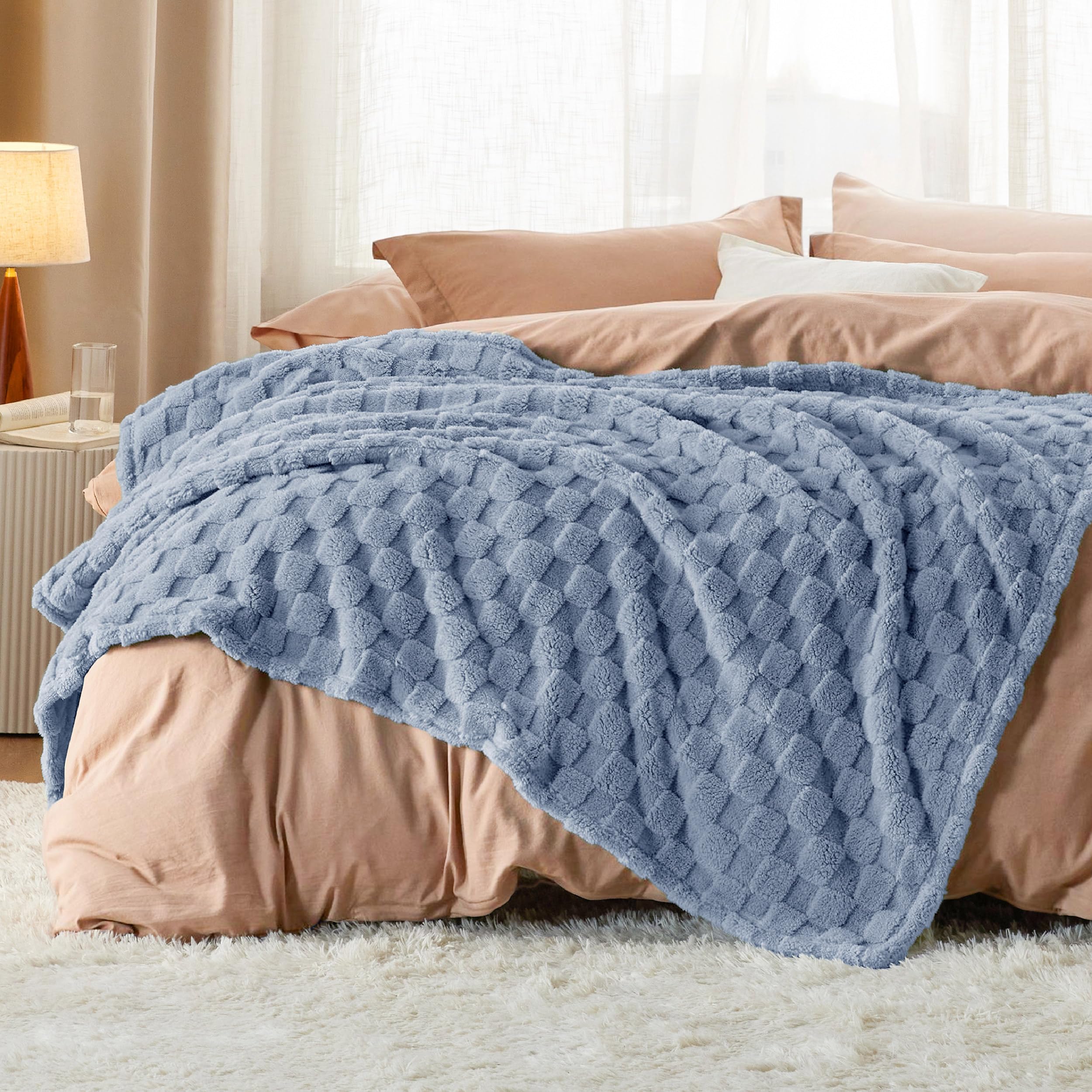 Bedsure GentleSoft Twin Blanket for Bed Ashley Blue - Super Soft Cozy Blankets for Kids Girls, Cute Fuzzy Fleece Throws for Bedroom Couch, 60x80 Inches