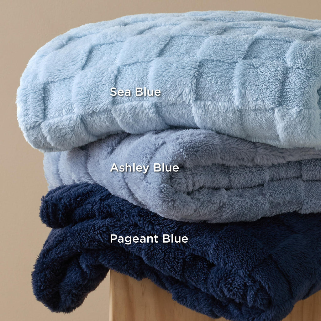 Bedsure GentleSoft Twin Blanket for Bed Ashley Blue - Super Soft Cozy Blankets for Kids Girls, Cute Fuzzy Fleece Throws for Bedroom Couch, 60x80 Inches