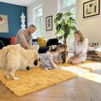 OLANLY 2x3 Machine Washable Small Bedside Rug, Soft Fluffy Shaggy Entryway Throw Rugs for Bedroom, Living Room, Indoor Floor Carpet for Kids Girls and Boys, Home Decor Aesthetic, Mustard Yellow