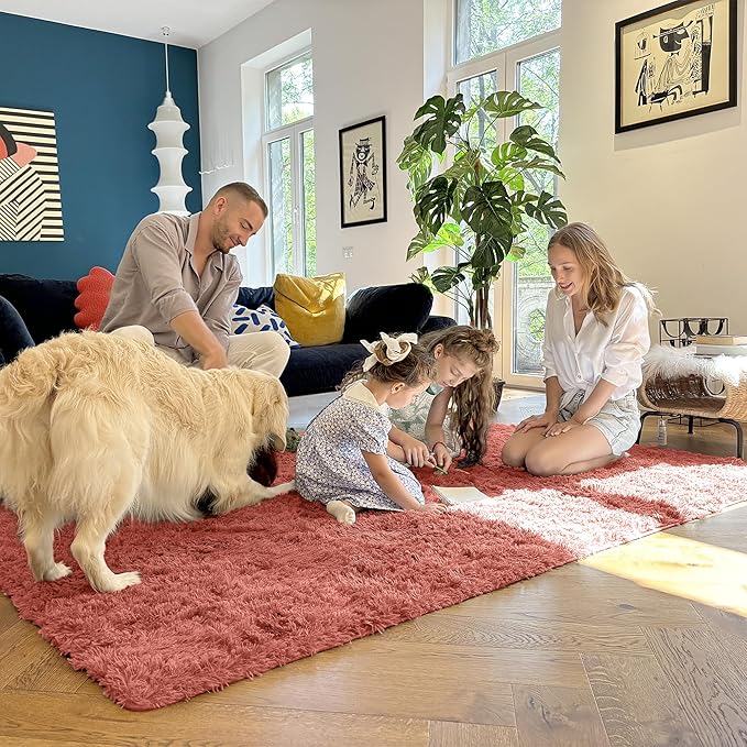 OLANLY 5x8 Machine Washable Large Area Rugs for Living Room, Bedroom, Soft Fluffy Shaggy Bedside Rug, Indoor Floor Carpet for Kids Girls and Boys, Dorms, Nursery, Home Decor Aesthetic, Rust Red