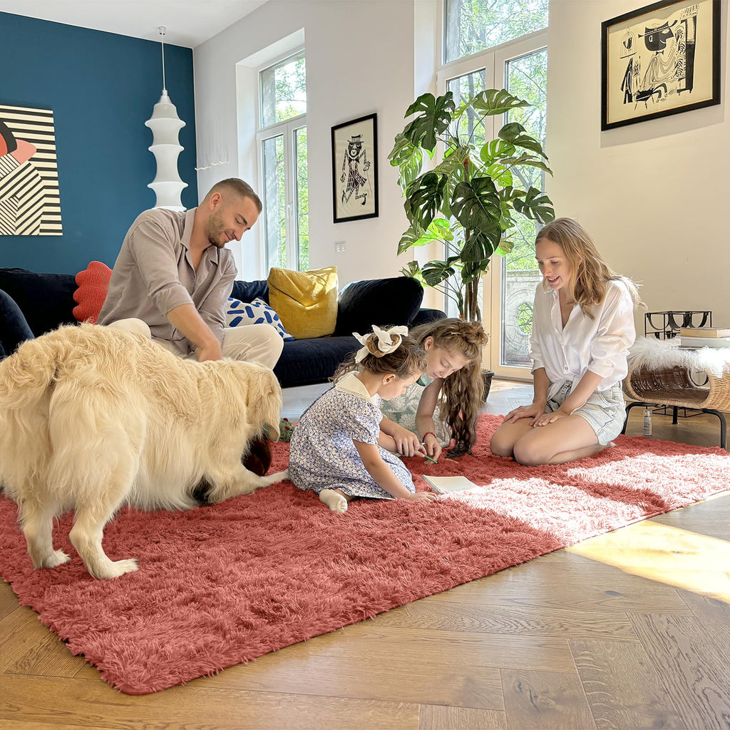 OLANLY 8x10 Machine Washable Large Area Rugs for Living Room, Bedroom, Soft Fluffy Shaggy Bedside Rug, Indoor Floor Carpet for Kids Girls and Boys, Dorms, Nursery, Home Decor Aesthetic, Rust Red