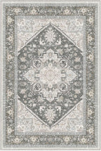 OPPODREAM Soft Area Rugs 2x3, Persian-Inspired Washable Rug, Greenish Grey