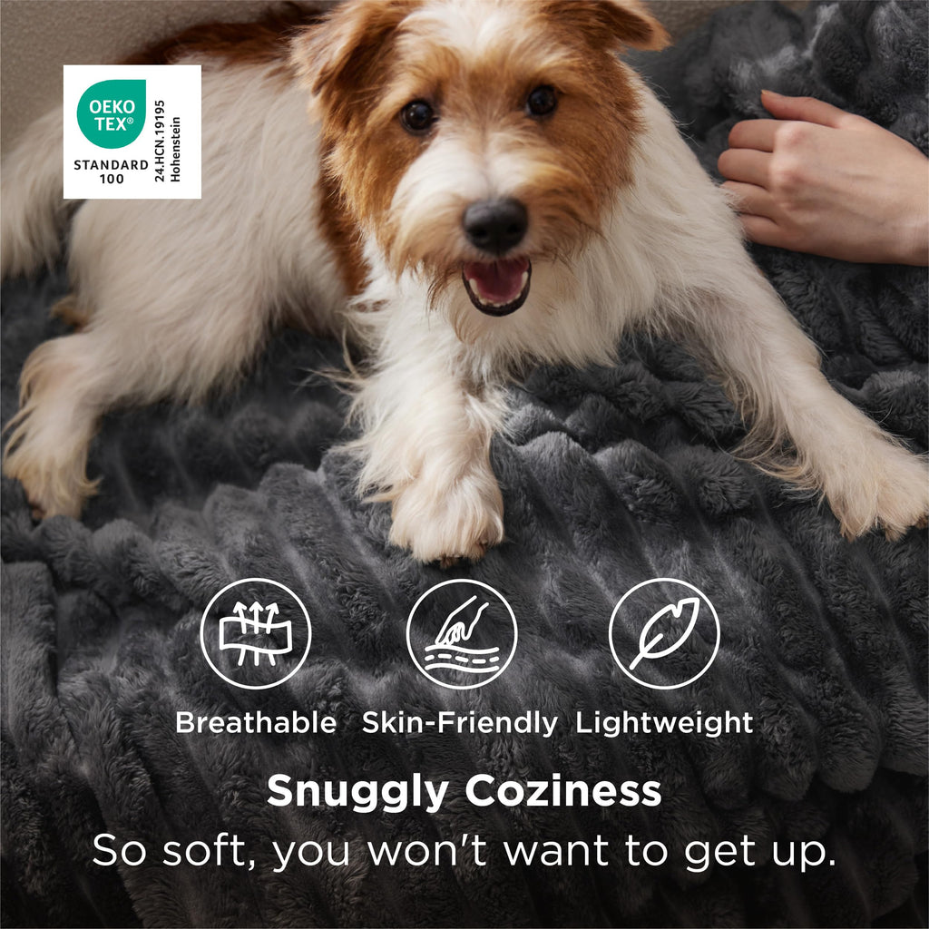 Bedsure Soft Grey Throw Blanket for Couch Decor Gifts 50"x60"