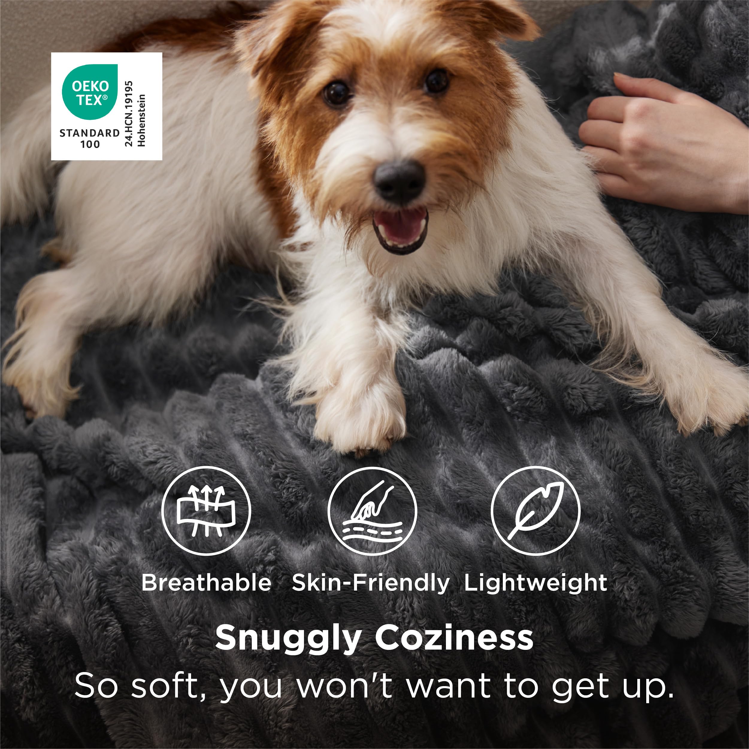 Bedsure Soft Grey Throw Blanket for Couch Decor Gifts 50"x60"
