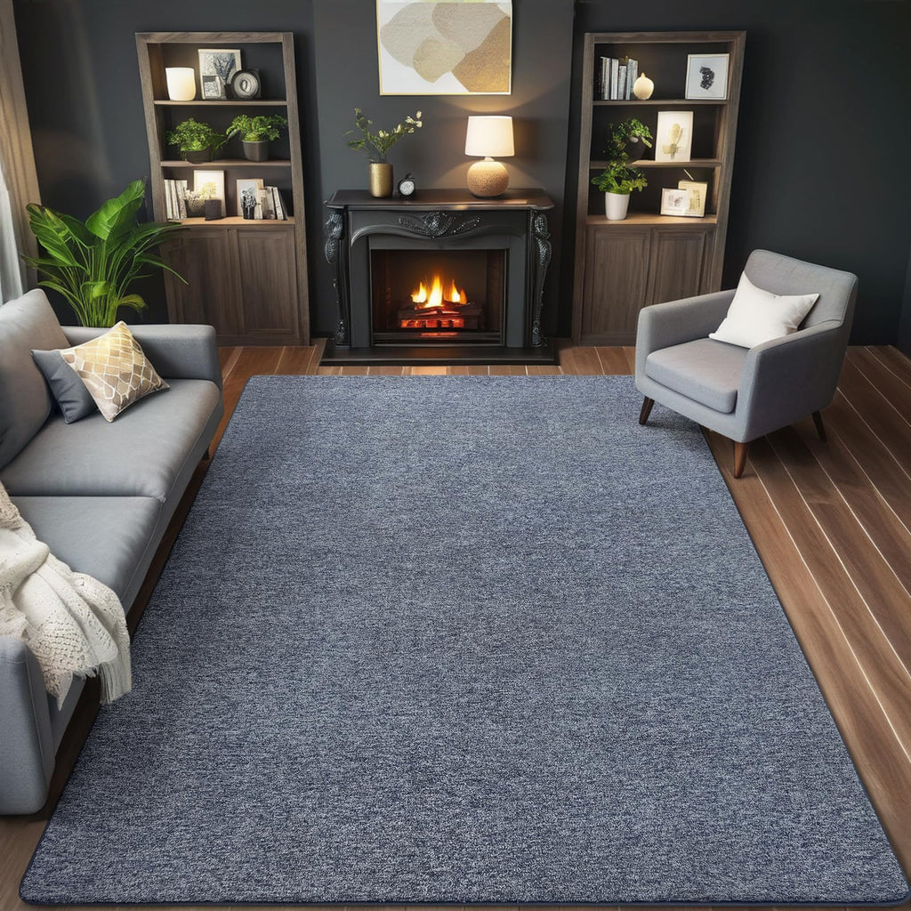 AROGAN 5x7 Area Rugs for Living Room Non Slip Dorm Bedroom Rug, Blue