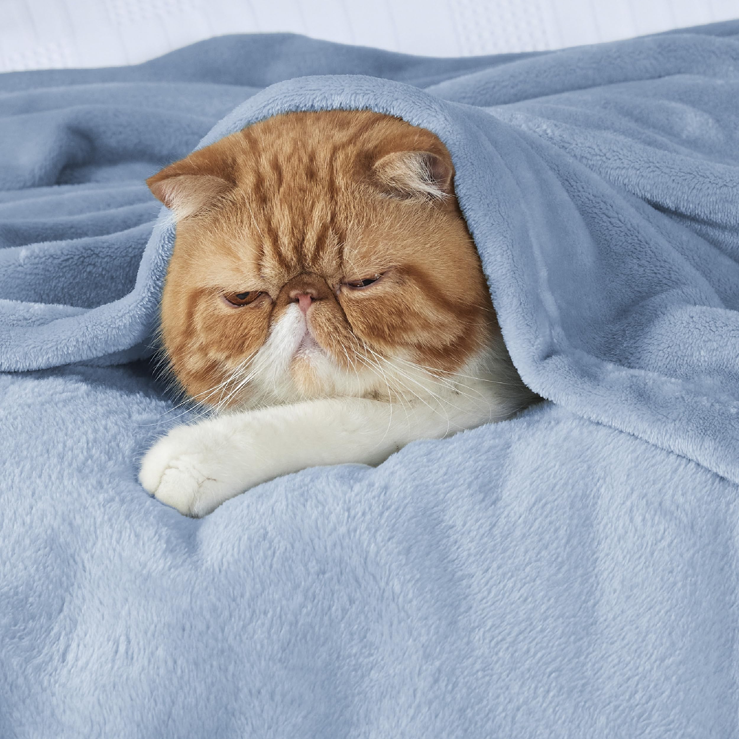 Bedsure GentleSoft Fleece King Size Blankets for Bed Light Blue - Soft Lightweight Plush Cozy Fuzzy Luxury Microfiber, 108x90 inches