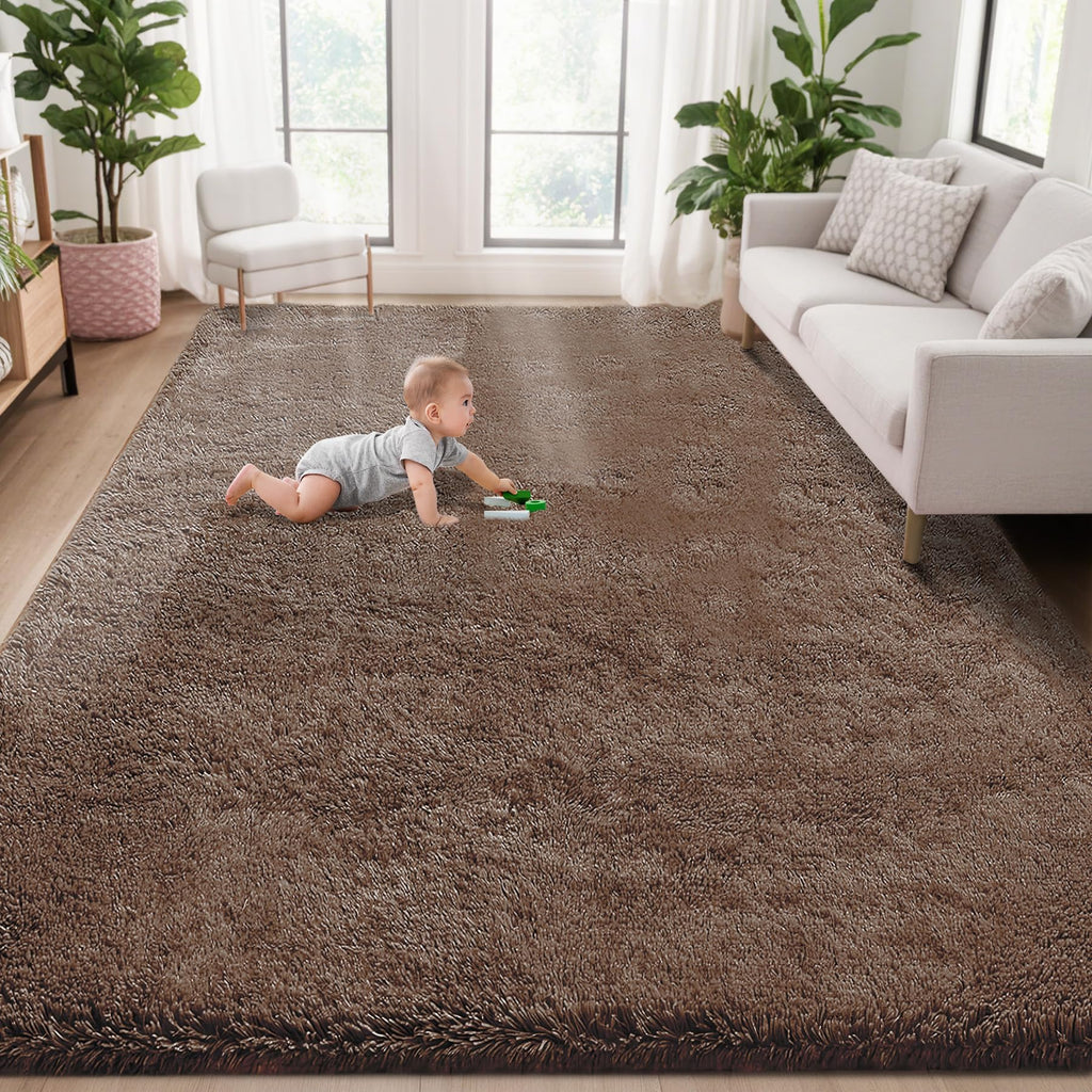 5x8 Area Rug for Living Room: Fluffy Shag Soft Washable Rugs Fuzzy Plush Indoor Carpet for Bedroom Nursery Playroom Dorm Kids Girls Boys Room (Coffee, 5'x8')