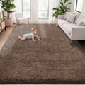 5x8 Area Rug for Living Room: Fluffy Shag Soft Washable Rugs Fuzzy Plush Indoor Carpet for Bedroom Nursery Playroom Dorm Kids Girls Boys Room (Coffee, 5'x8')