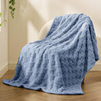 Bedsure GentleSoft Twin Blanket for Bed Ashley Blue - Super Soft Cozy Blankets for Kids Girls, Cute Fuzzy Fleece Throws for Bedroom Couch, 60x80 Inches