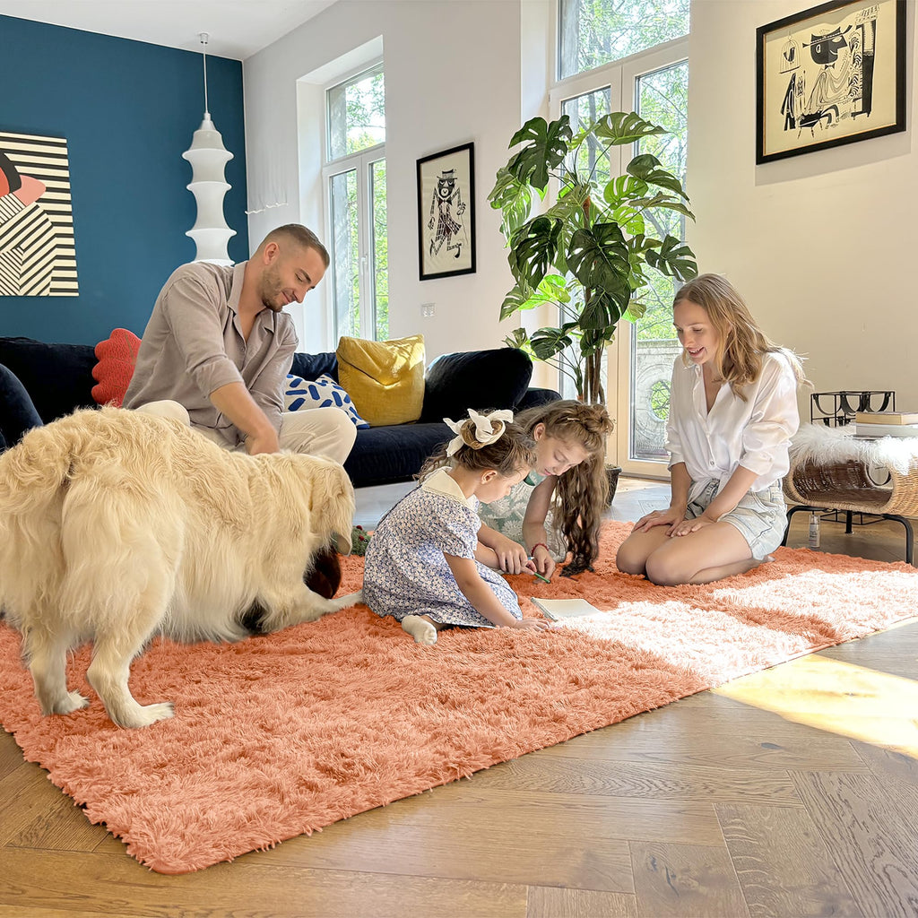 OLANLY 5x8 Machine Washable Large Area Rugs for Living Room, Bedroom, Soft Fluffy Shaggy Bedside Rug, Indoor Floor Carpet for Kids Girls and Boys, Dorms, Nursery, Home Decor Aesthetic, Muted Orange
