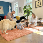 OLANLY 5x8 Machine Washable Large Area Rugs for Living Room, Bedroom, Soft Fluffy Shaggy Bedside Rug, Indoor Floor Carpet for Kids Girls and Boys, Dorms, Nursery, Home Decor Aesthetic, Muted Orange