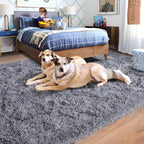 Rugs for Bedroom 4x6, Soft Shaggy Modern Shag Area Rug for Living Room, Upgrade Non-Slip Plush Fluffy Carpet for Kids Boys Girls Room Home Decor Aesthetic, Grey