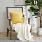 GIGIZAZA Yellow Velvet Pillow Covers 20x20 Decorative Pillows Pack of 2