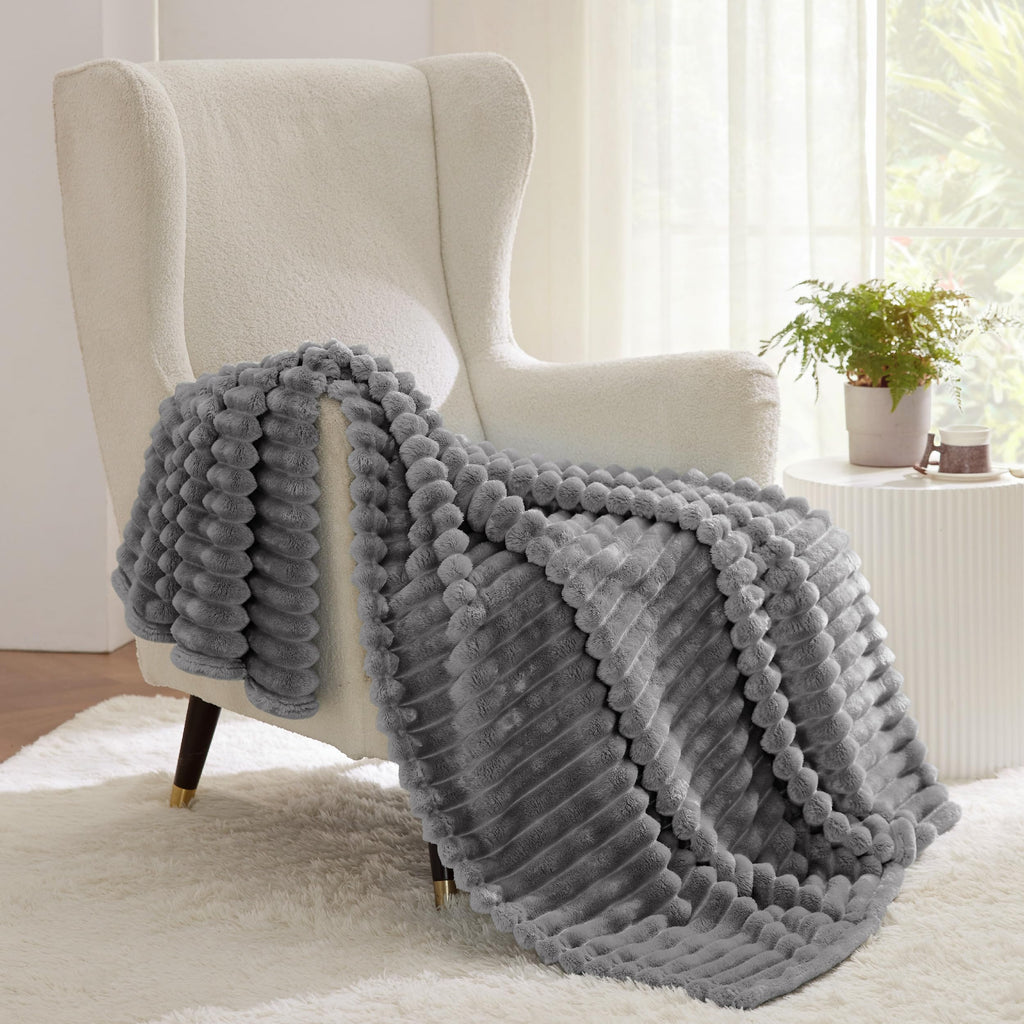 Bedsure Soft Twin XL Blanket for Bed Dorm Frost Gray 66"x90"
