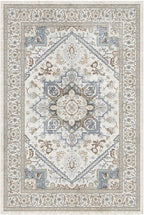 OPPODREAM Soft Area Rugs 4x6, Low-Pile Washable Rugs 4x6 with Non Slip Backing, Faux Cashmere 4 x 6 Throw Carpet, Greenish Grey