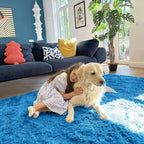 OLANLY 8x10 Machine Washable Large Area Rugs for Living Room, Bedroom, Soft Fluffy Shaggy Bedside Rug, Indoor Floor Carpet for Kids Girls and Boys, Dorms, Nursery, Home Decor Aesthetic, Bright Blue
