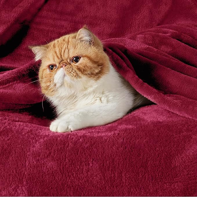 Bedsure GentleSoft Fleece Throw XL Blanket Red - 300GSM Soft Lightweight Plush Cozy Blankets for Bed, Sofa, Couch, Travel, Camping, 50x70 inches