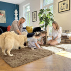 OLANLY 2x3 Machine Washable Small Bedside Rug, Soft Fluffy Shaggy Entryway Throw Rugs for Bedroom, Living Room, Indoor Floor Carpet for Kids Girls and Boys, Home Decor Aesthetic, Taupe