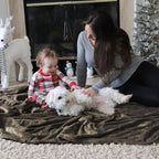 Bedsure GentleSoft Fleece Throw Blanket Brown - 300GSM Blankets for Couch, Sofa, Bed, Soft Lightweight Plush Cozy Throws for Toddlers, 50x60 inches