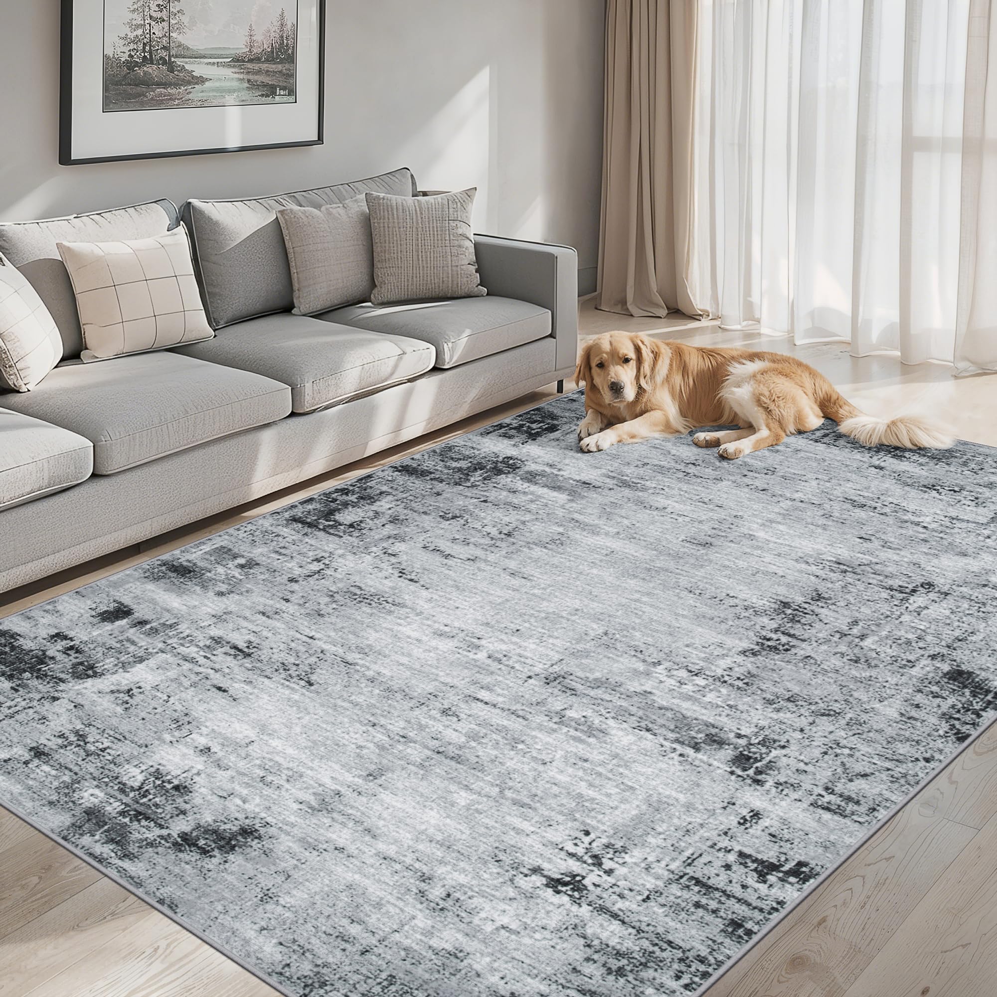 PLHXFR 8x10 Area Rug Living Room: Modern Abstract Washable Carpet Black